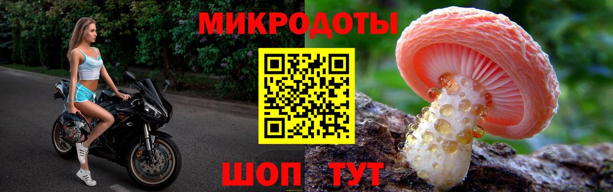 Чебоксары  Галлюциногенные грибы GOLDEN TEACHER  Вход с VPN 